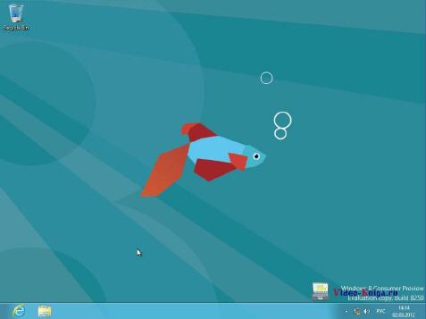 Скриншот интерфейса рабочего стола в Windows 8